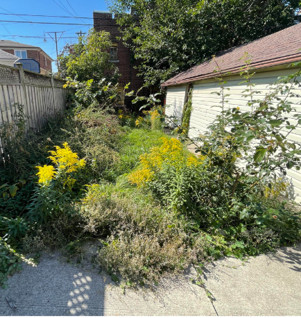 Propertycleanupbefore